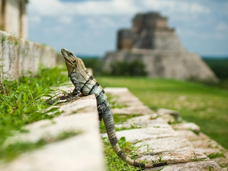 Parcourez les plus beaux temples du Yucatan