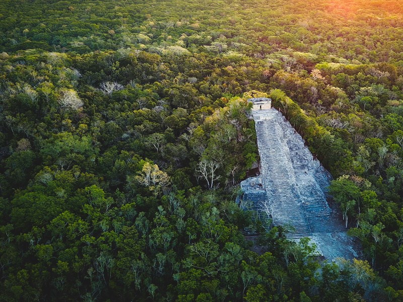 Les paysages mayas au coeur des forêts