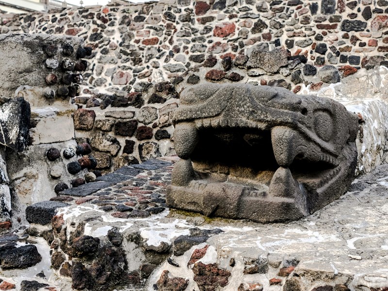 Immortalisez des pieds vieilles de plusieurs siècles