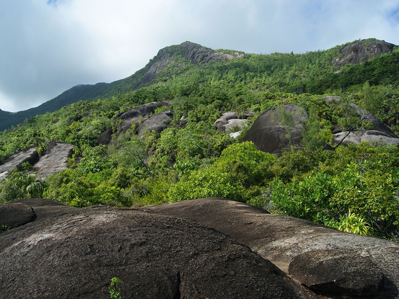 Le parc naturel du Morne Seychellois