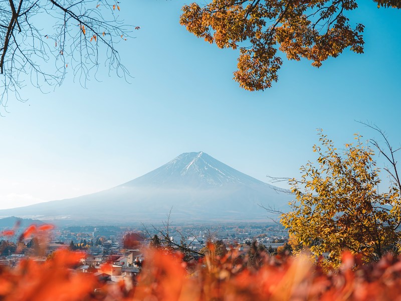 Les couleurs du Mont Fuji à l'automne