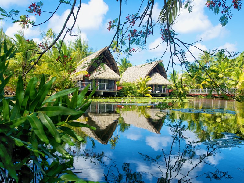 Profitez de votre séjour dans un bungalow traditionnel