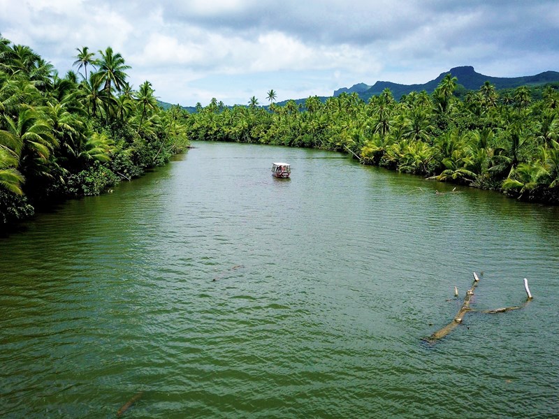 Embarquez sur une excursion sur la rivière Faaroa