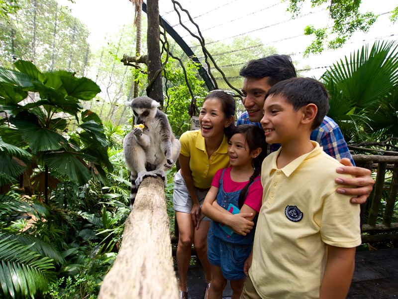 Zoo de Singapour et découvrez la multitude d’animaux qui vagabondent librement dans un parc naturel