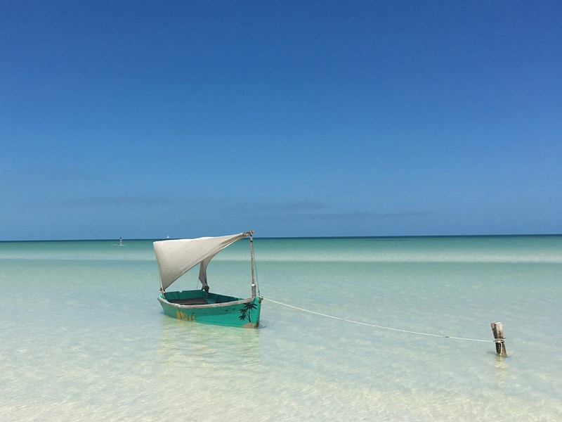 Le paradis sauvage de Holbox