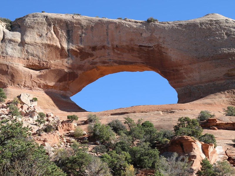 Le Wilson Arch
