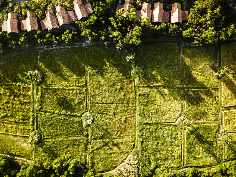 Parcourez les rizières 