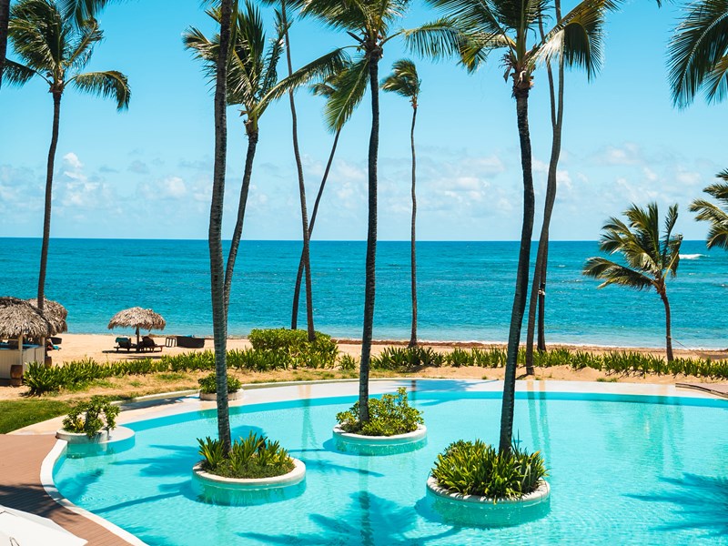 Un cadre paradisiaque 