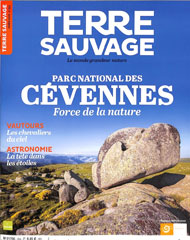 Terre Sauvage