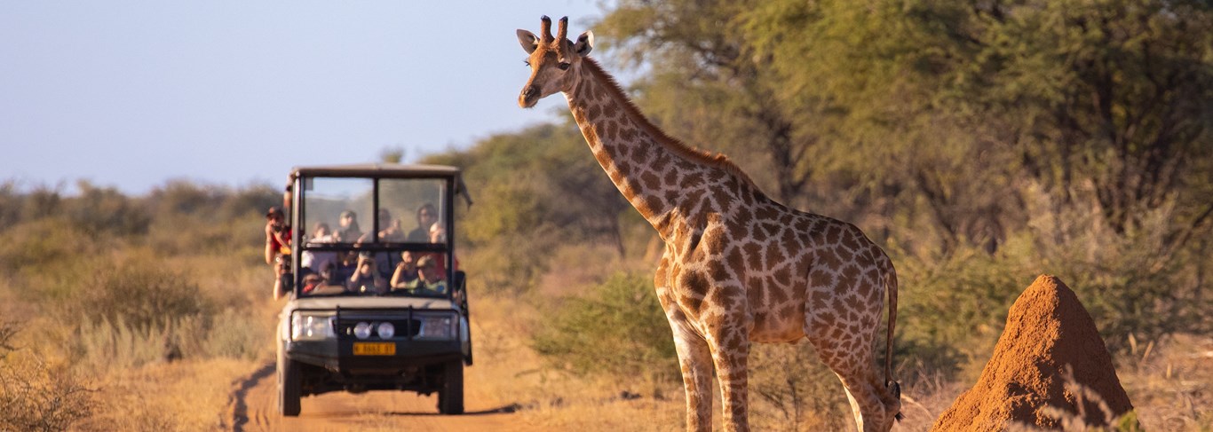 À la rencontre des populations locales : découvrir les cultures Masaï et Samburu