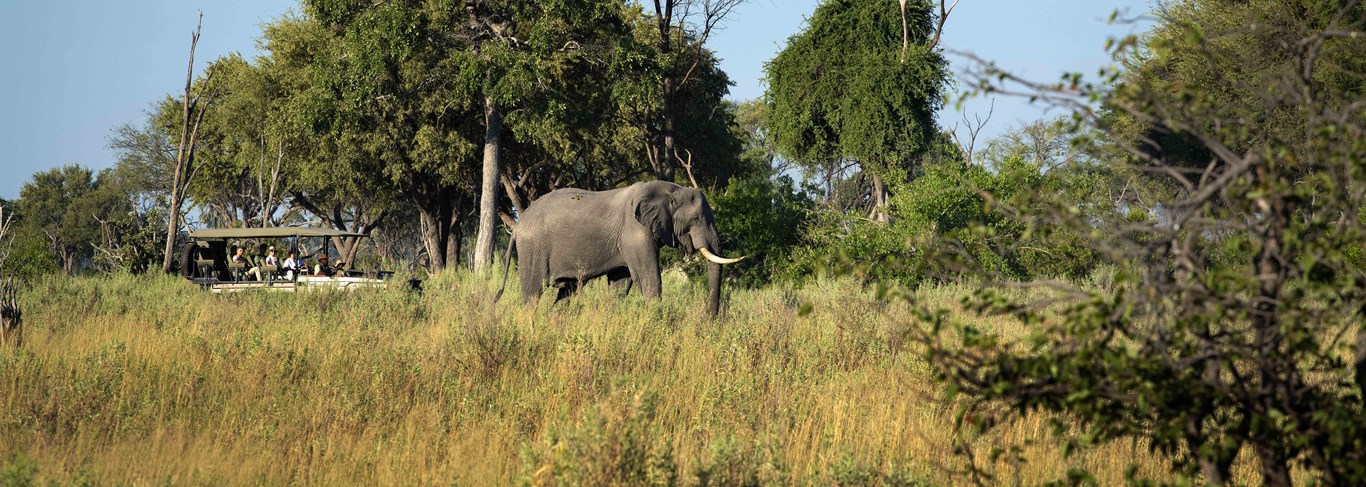 Atzaró Okavango