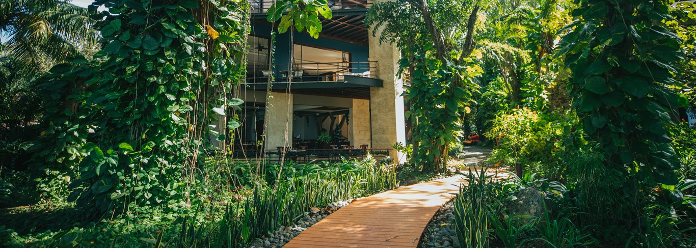 Bosque Del Mar
