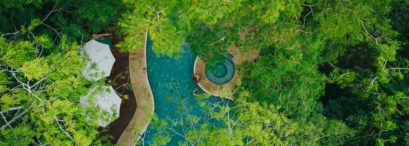 Bosque Del Mar