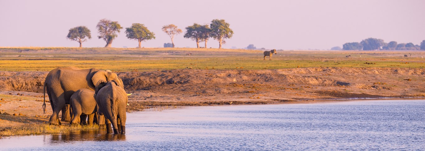 Parc national de Chobe