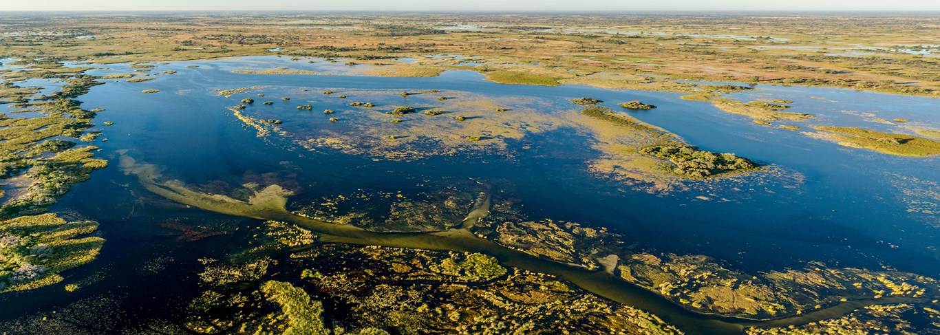 Delta de l'Okavango