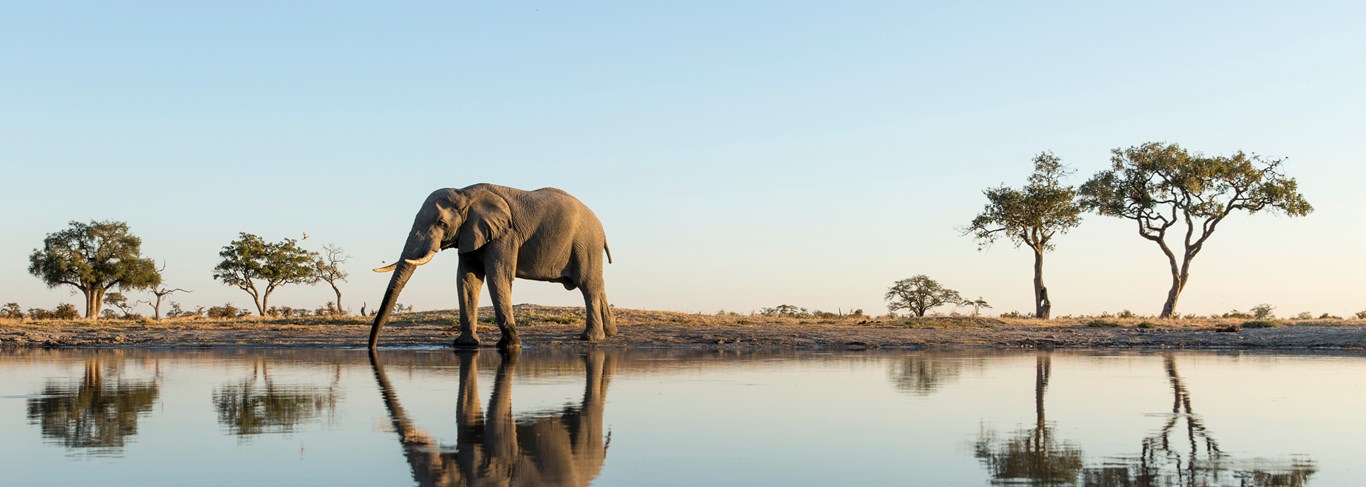 Panoramique formulaire sur mesure Botswana