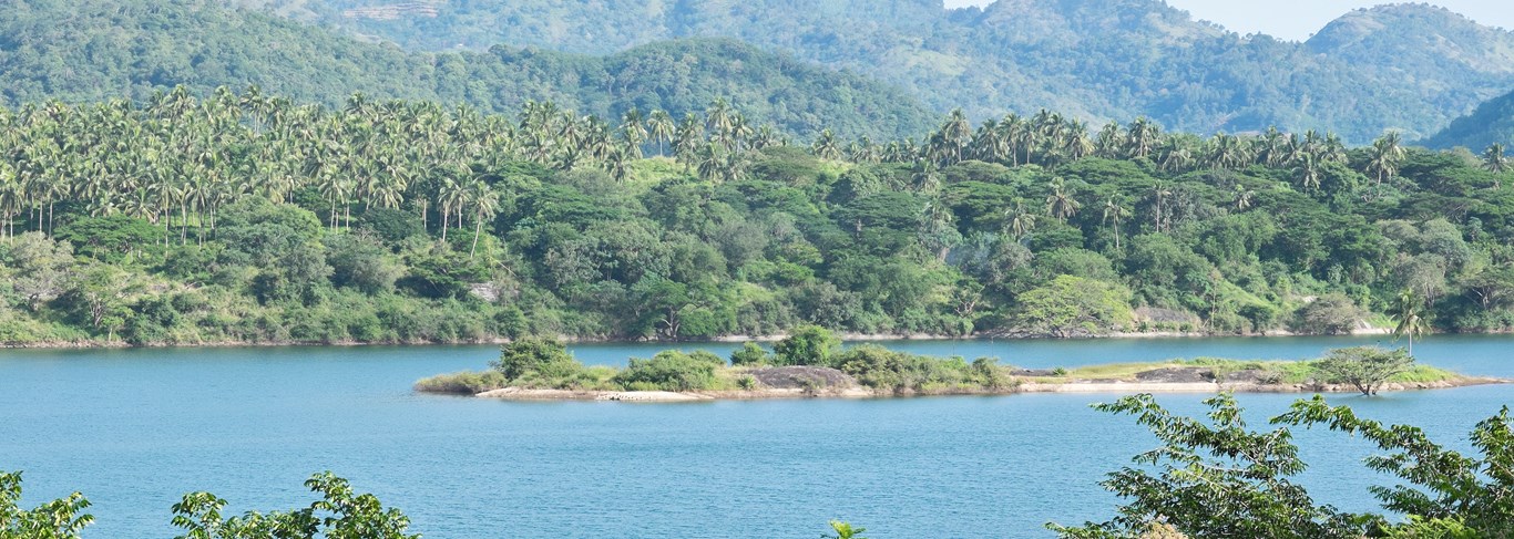 Bougainvillea Retreat