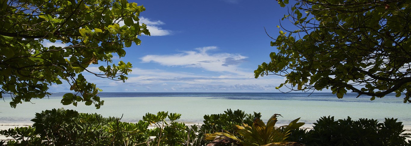 Canopy by Hilton Seychelles