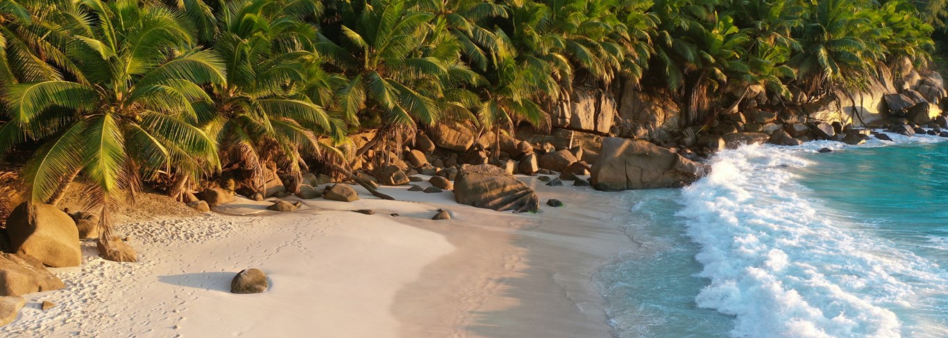 Combiné bush sud-africain et plages des Seychelles