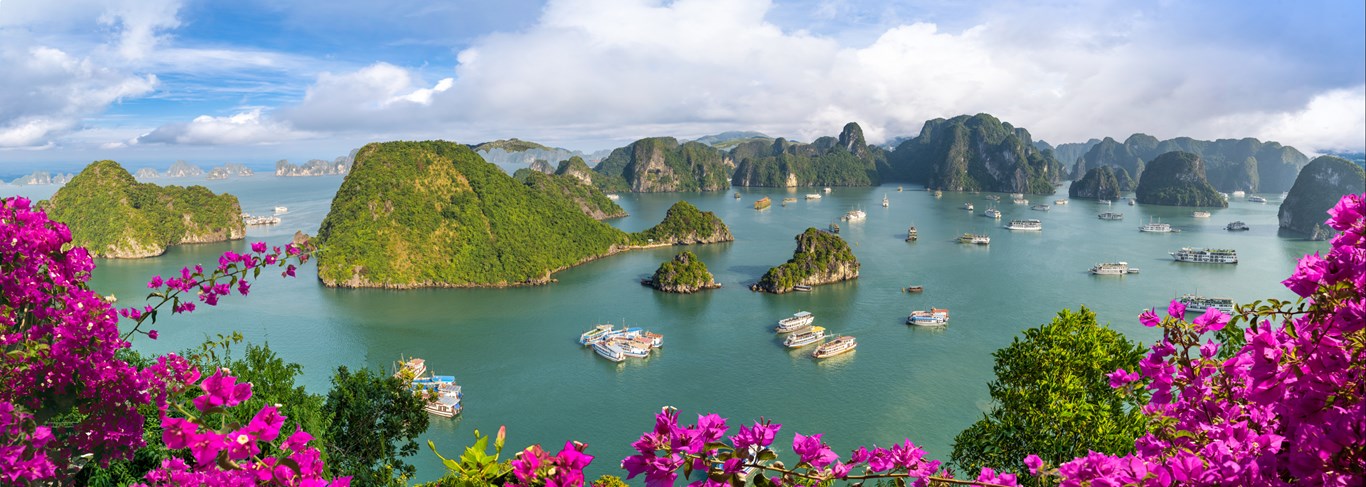 Comment visiter la baie d'Halong au Vietnam ?