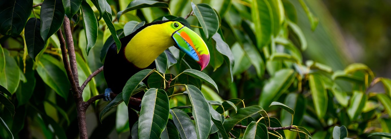 Costa Rica