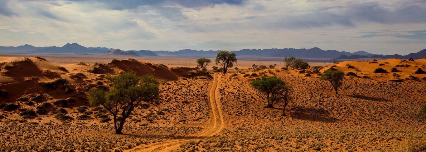 Désert du Kalahari