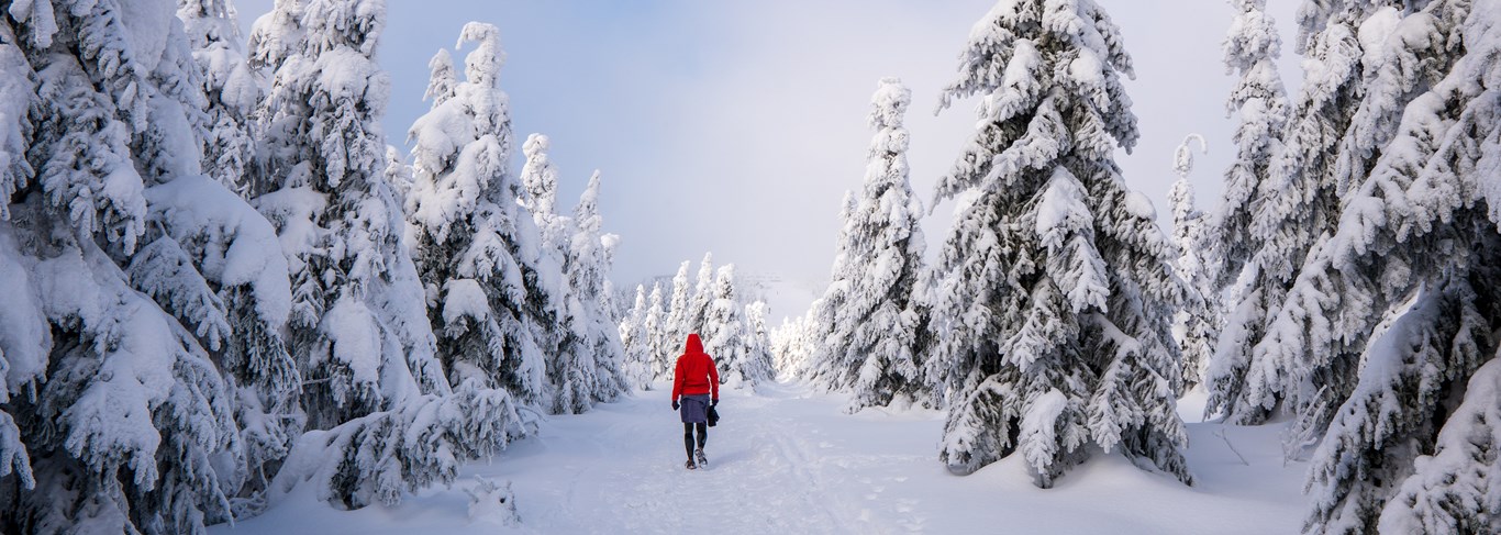 Douceurs hivernales en Outaouais