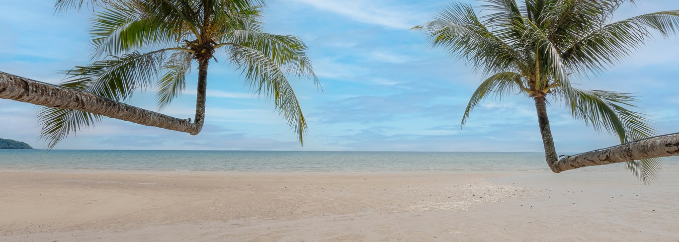 La plage de l'hôtel