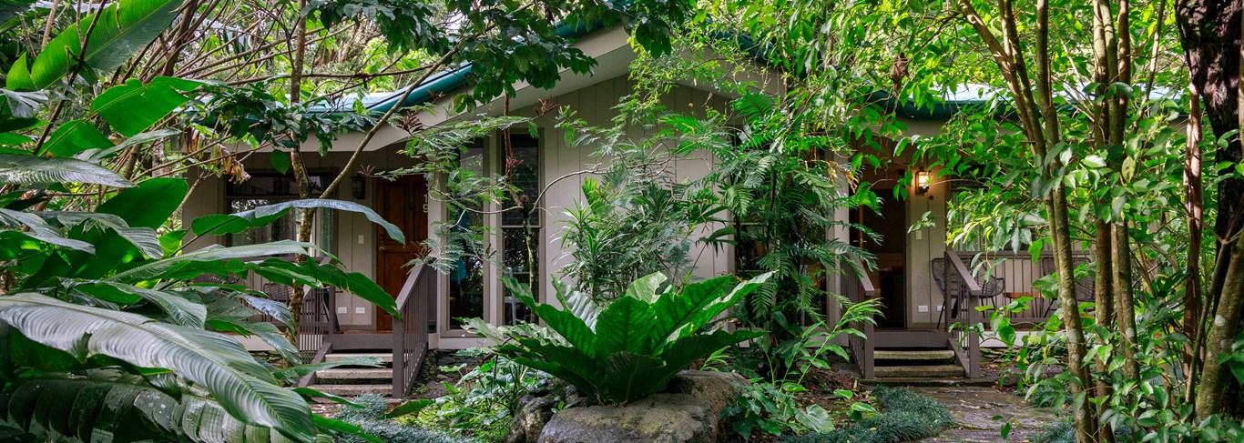 Hotel Senda Monteverde