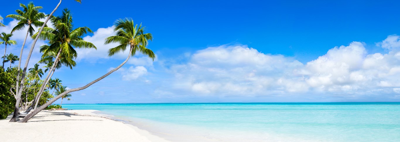 Île Maurice vs Maldives : quelle île choisir ?