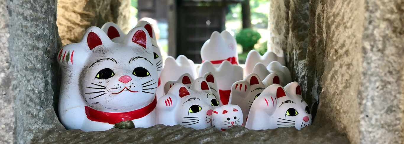 Japon, l'aventure en famille