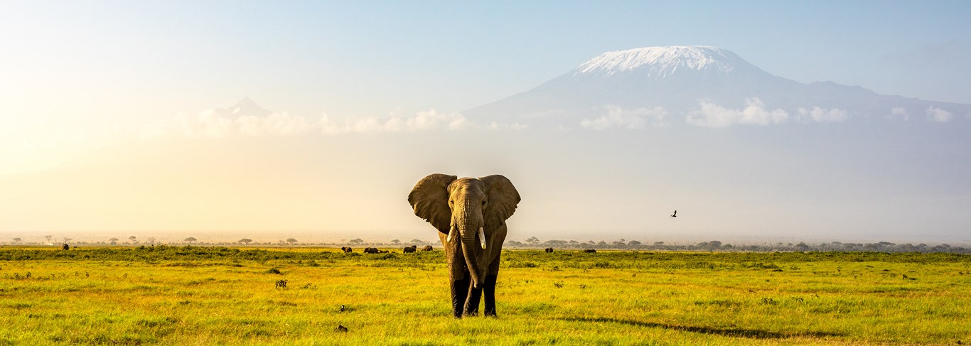 Parc National d'Amboseli