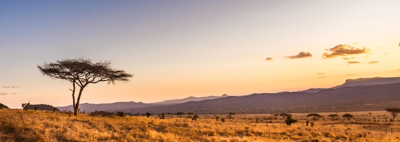 Tsavo National Park