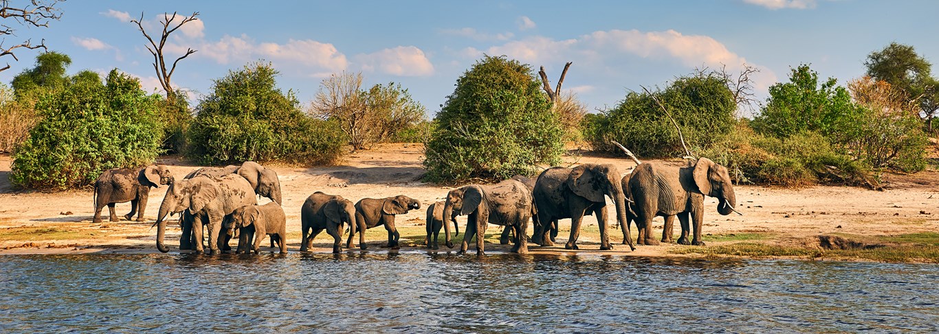 L'essentiel du Botswana