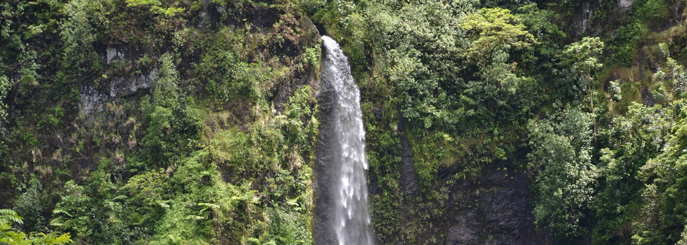 Les cascades de Te Faarumai 
