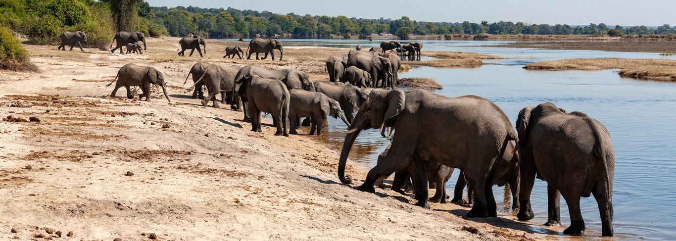 Le Botswana en famille