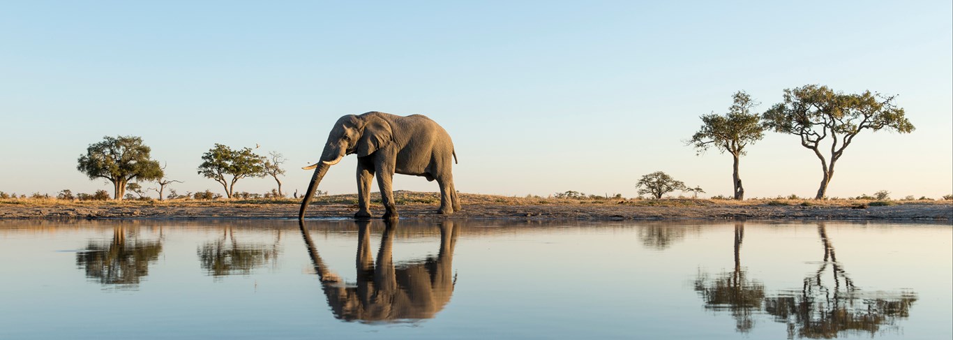 Le meilleur du Botswana