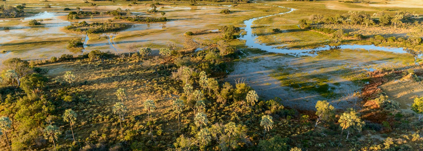 Le meilleur du Botswana