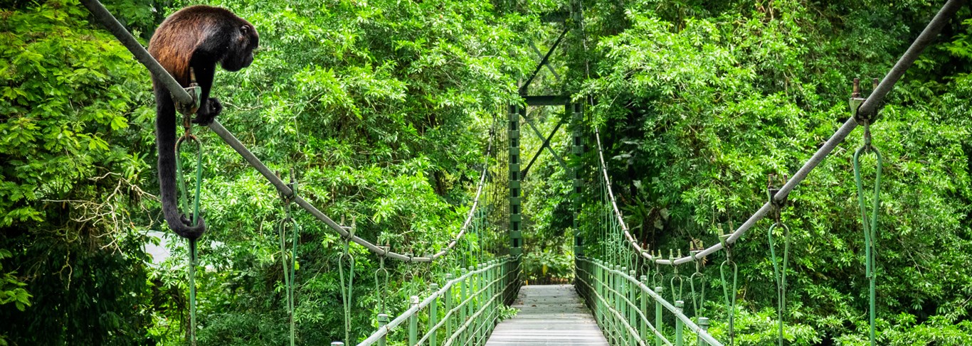 Le meilleur du Costa Rica