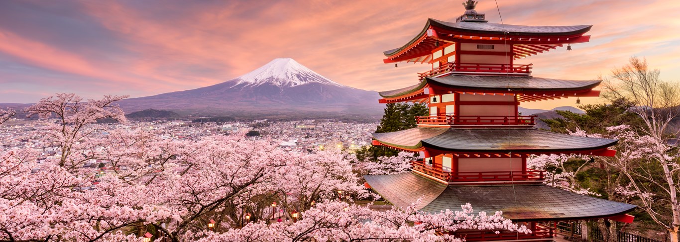 Les meilleurs endroits pour voir les cerisiers en fleurs au Japon