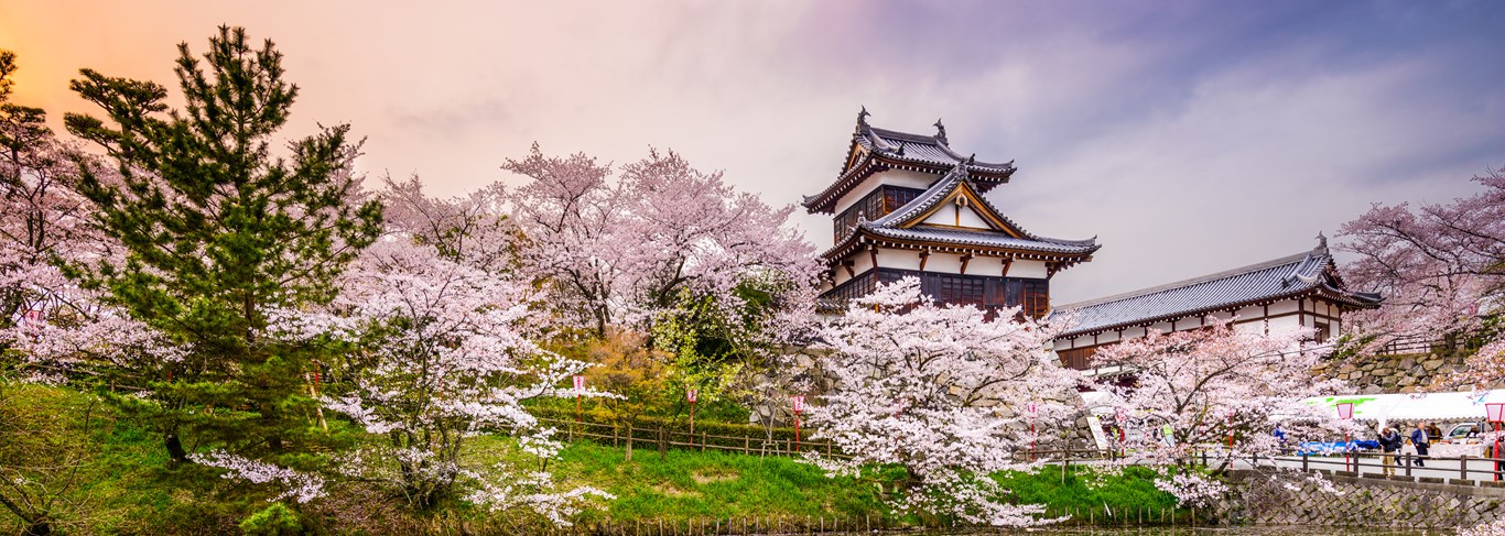 Les meilleurs endroits pour voir les cerisiers en fleurs au Japon