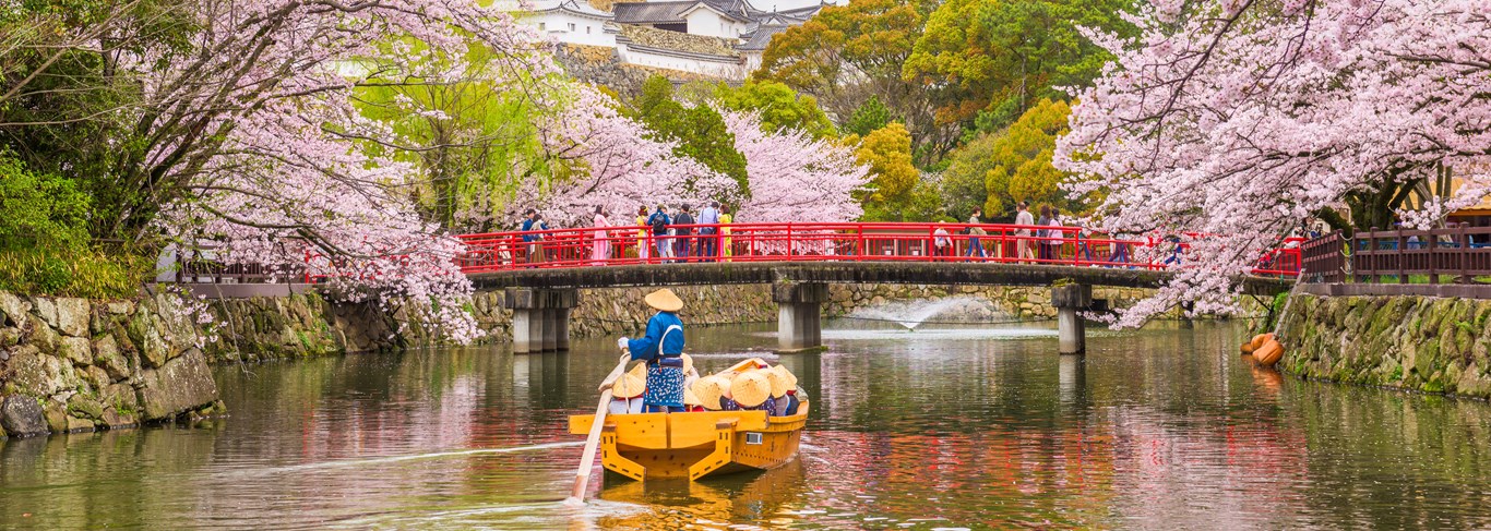 Les meilleurs endroits pour voir les cerisiers en fleurs au Japon