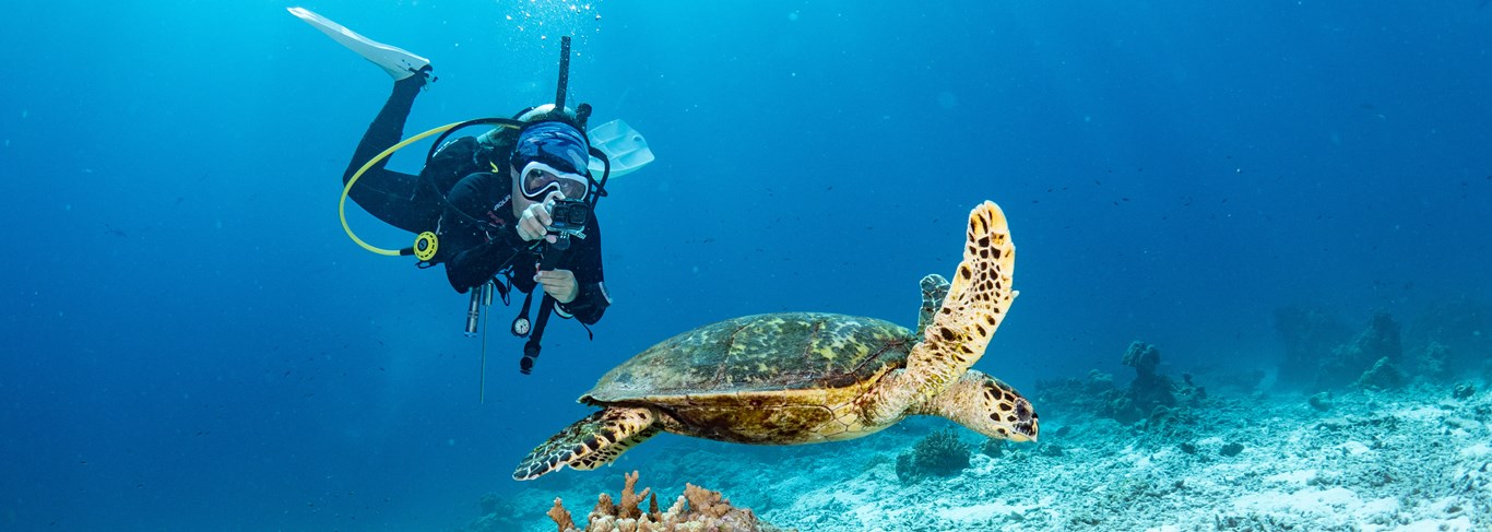 Les meilleurs spots de plongée et snorkeling en Thaïlande