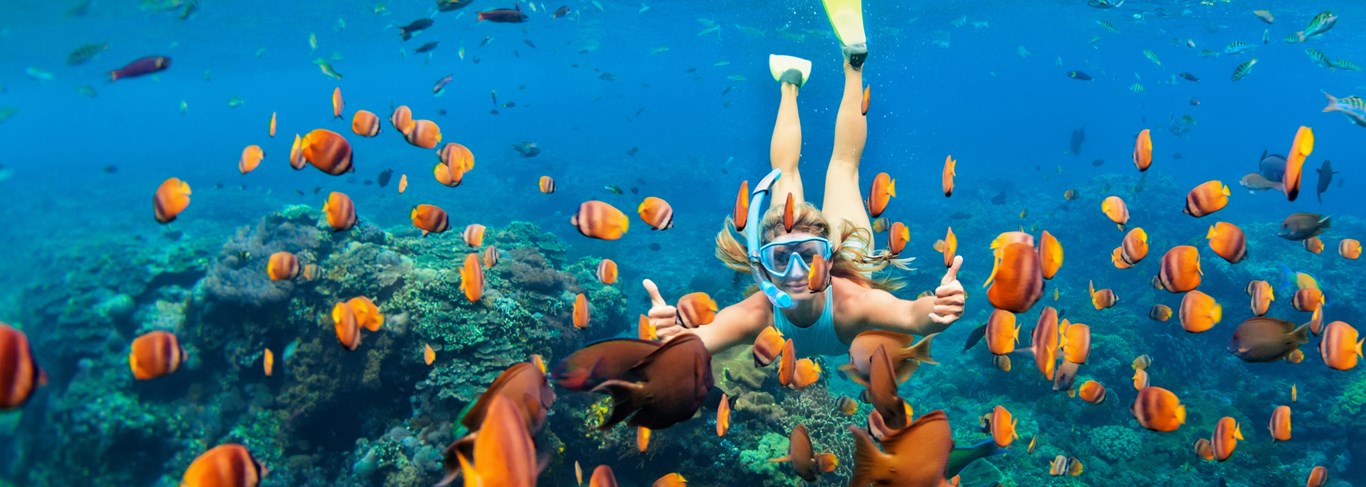 Les meilleurs spots de plongée et snorkeling en Thaïlande