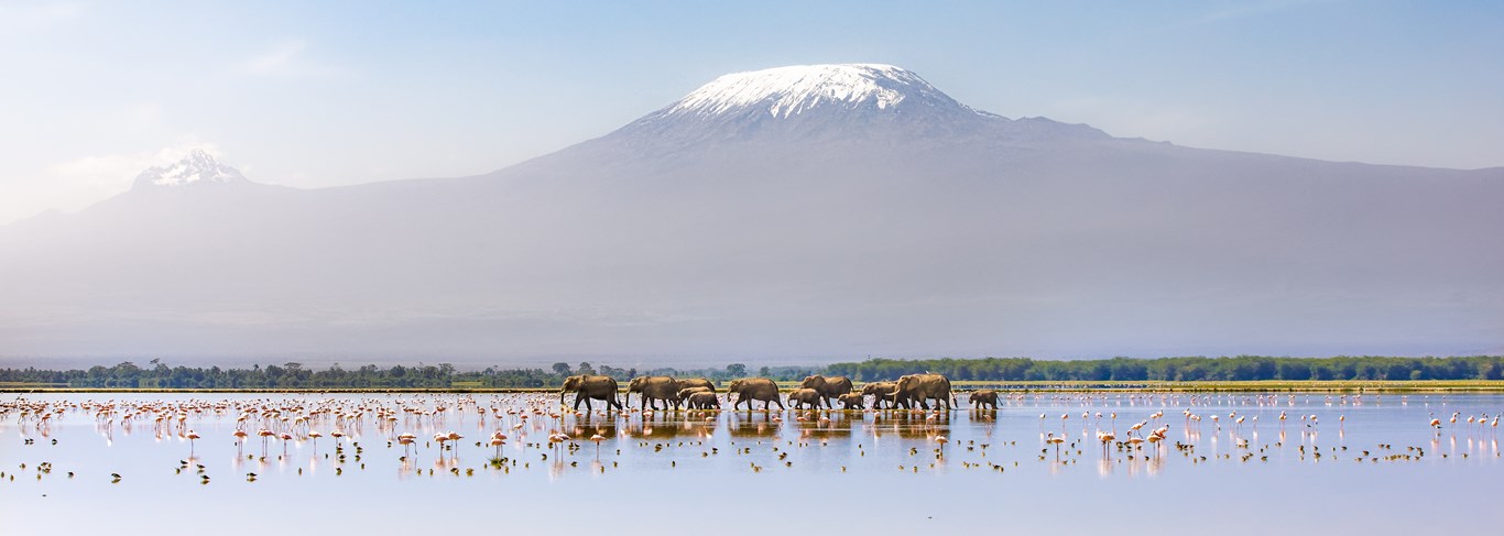Les plus beaux parcs du Kenya
