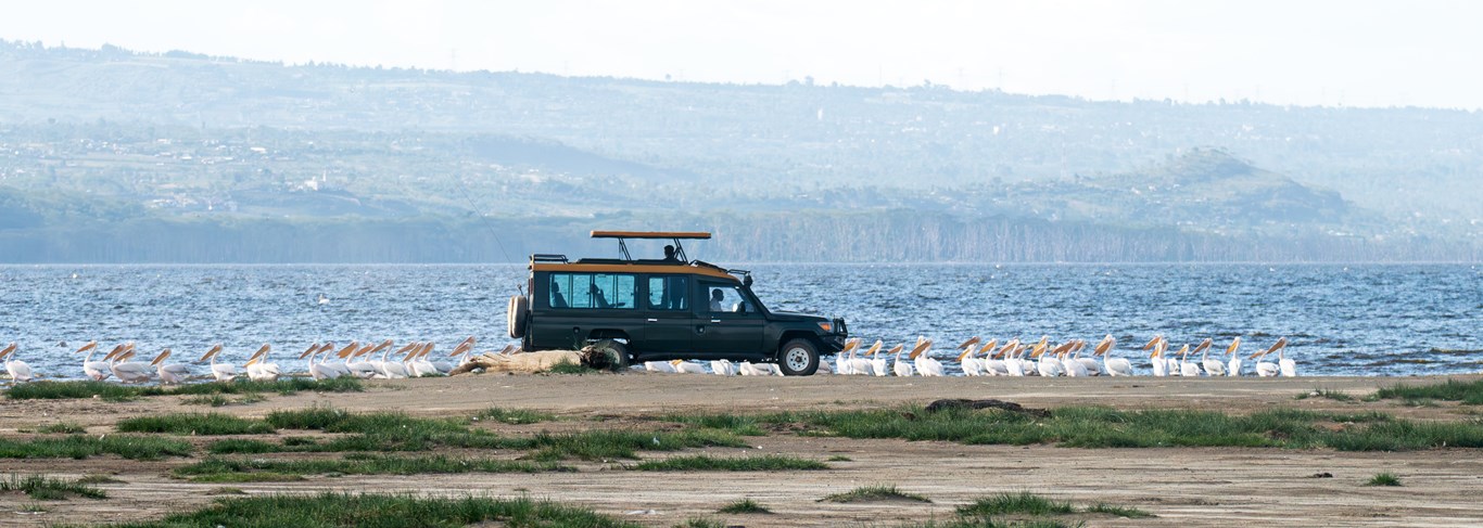 Les plus beaux parcs du Kenya