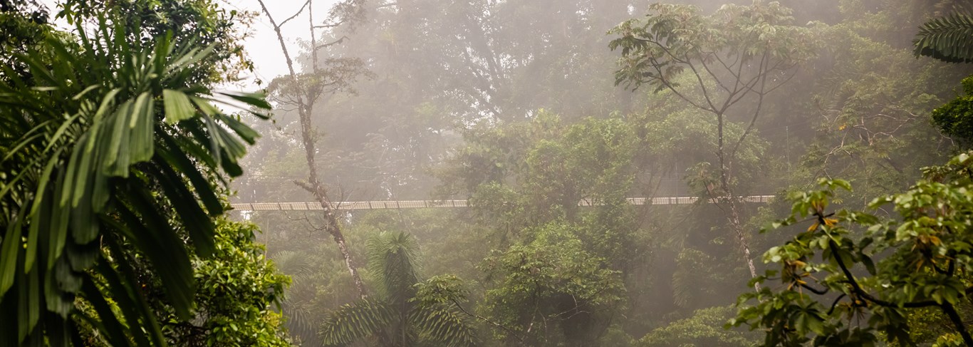 Monteverde