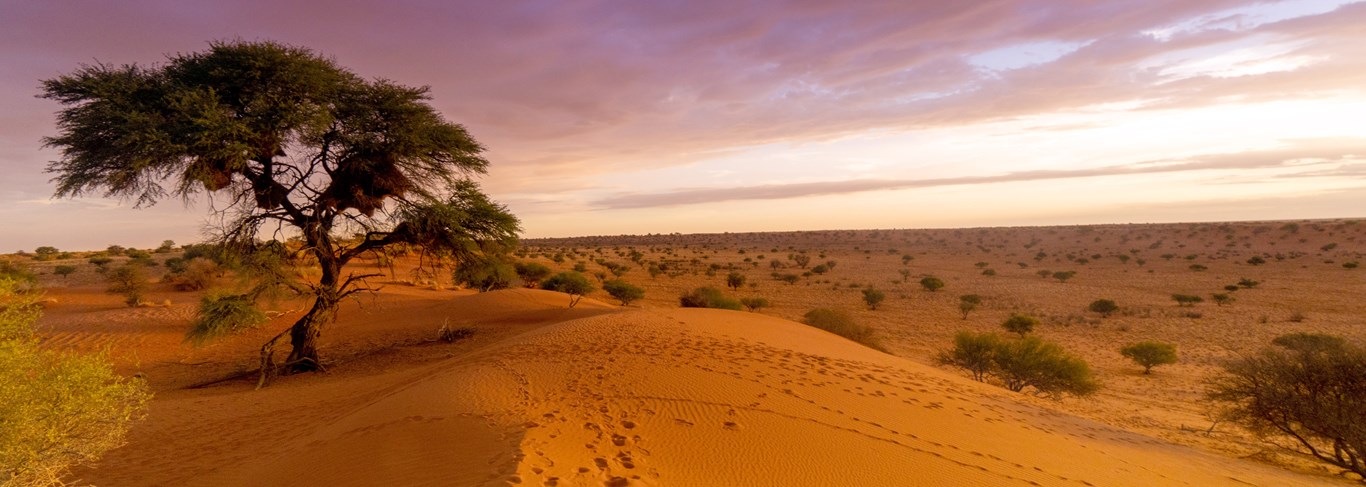 Namibie, le grand tour 