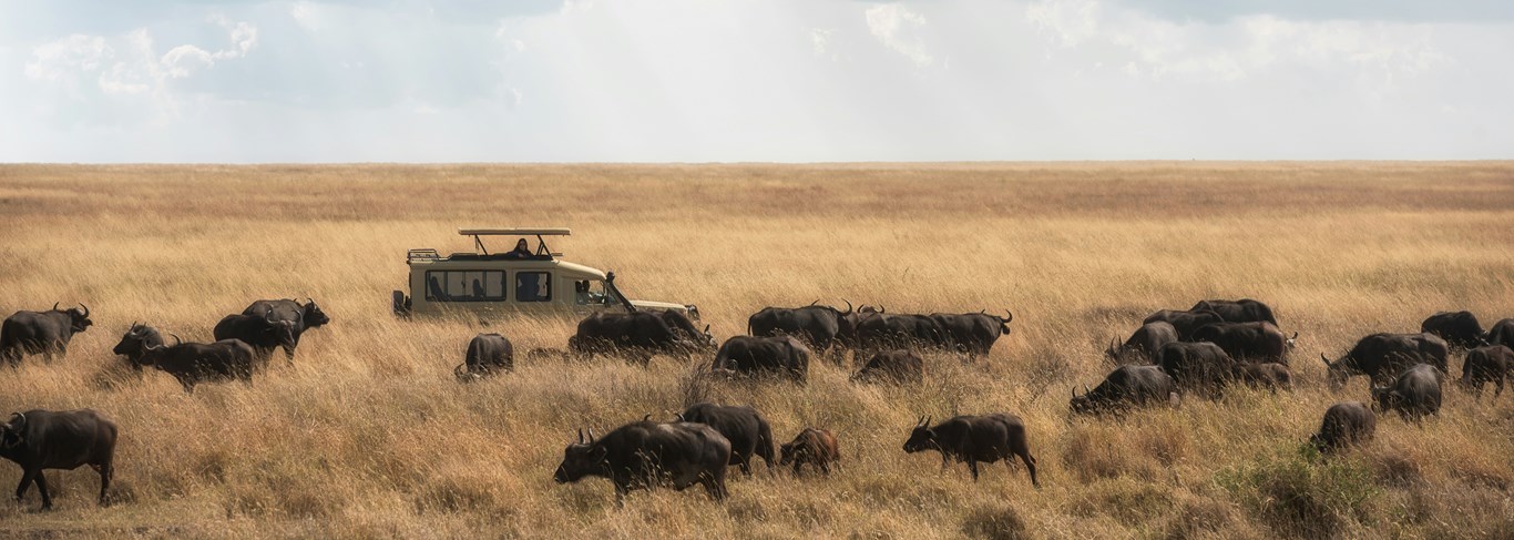 Namibie ou Tanzanie ? 