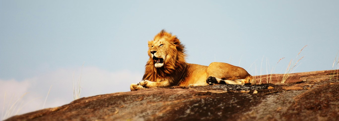 Namibie ou Tanzanie ? 